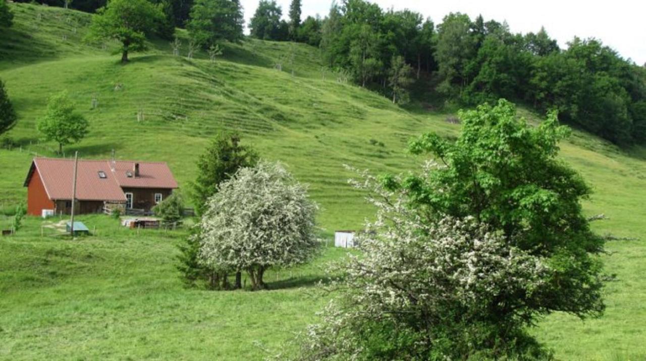 Kaufhold Ferienwohnung Immenstadt im Allgäu Екстериор снимка